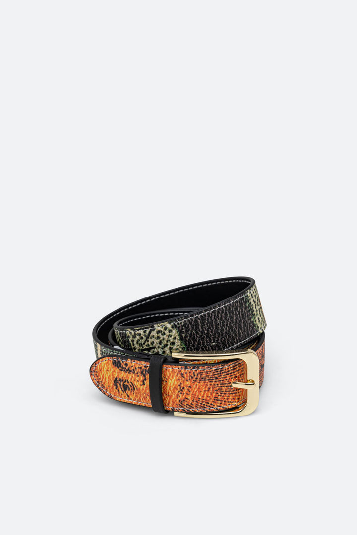 Planetarium belt
